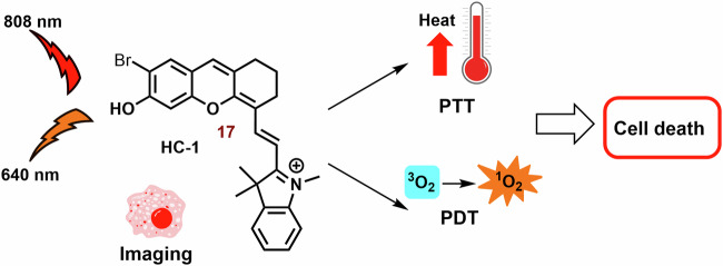 Fig. 16