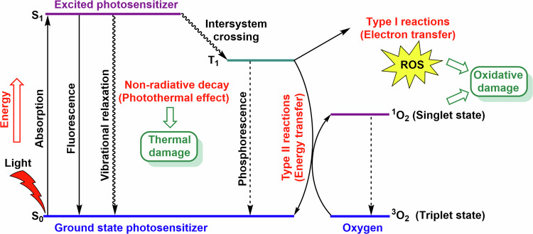 Fig. 2