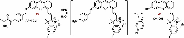 Fig. 10