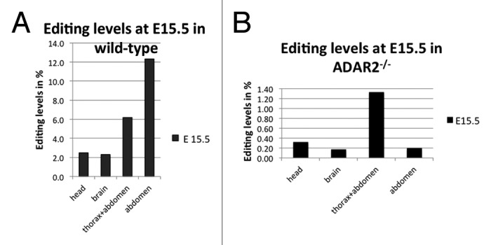 graphic file with name rna-10-1611-g1.jpg