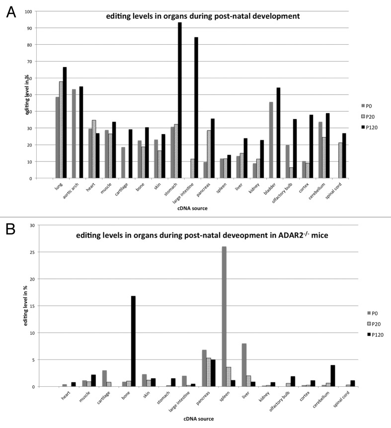 graphic file with name rna-10-1611-g2.jpg