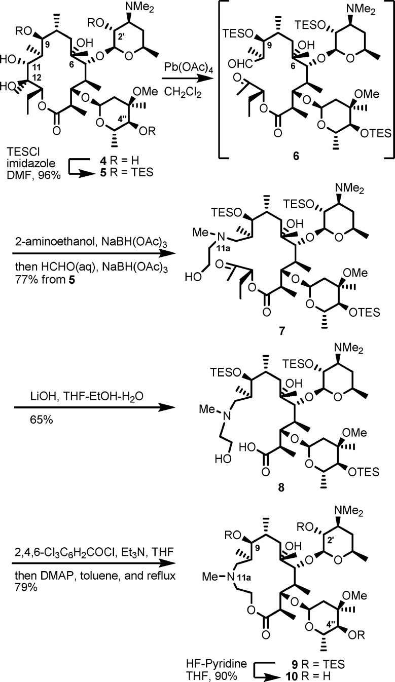 Scheme 2