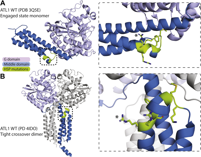 Figure 7