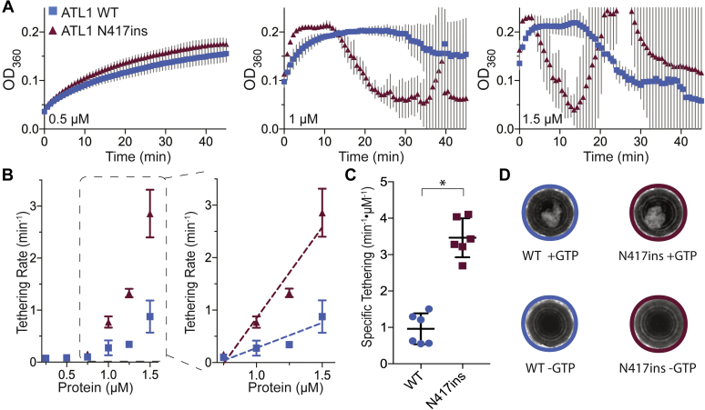 Figure 5