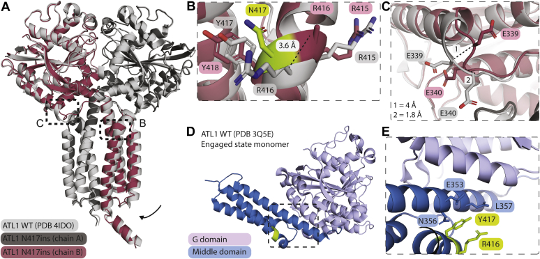 Figure 4