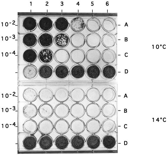 FIG. 1