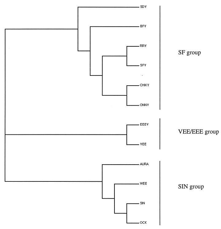 FIG. 7