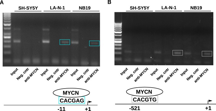 FIGURE 4.