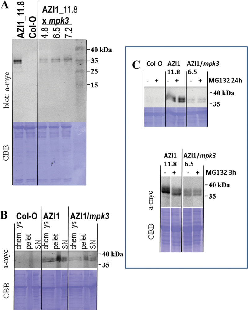 Figure 10.