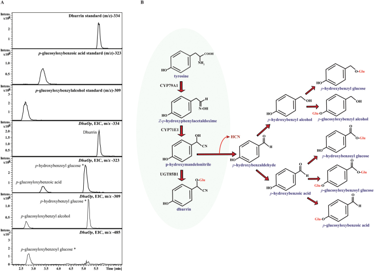 Fig. 3.