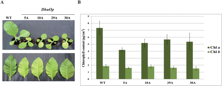 Fig. 5.