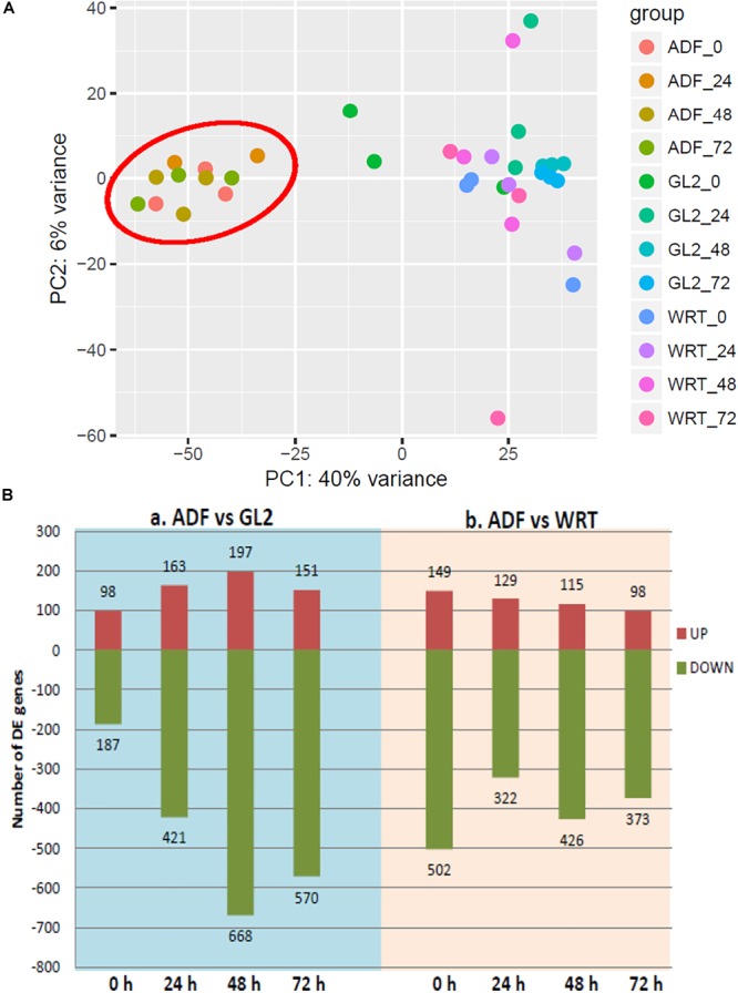 FIGURE 4