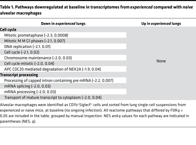 graphic file with name jciinsight-5-133042-g220.jpg