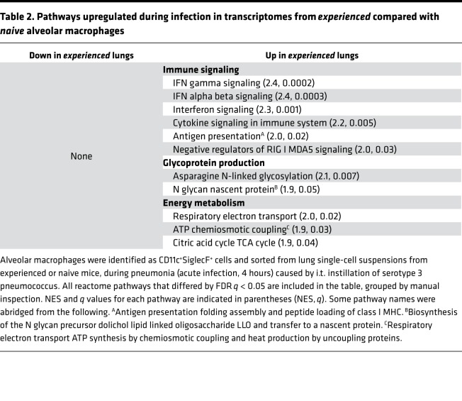 graphic file with name jciinsight-5-133042-g221.jpg