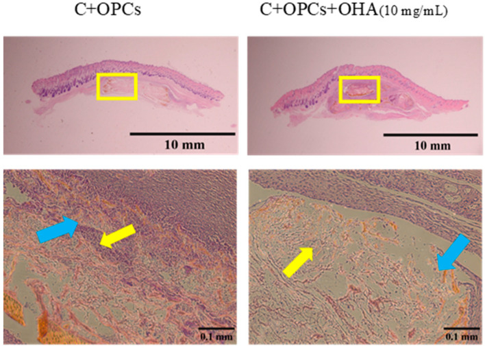 Figure 15