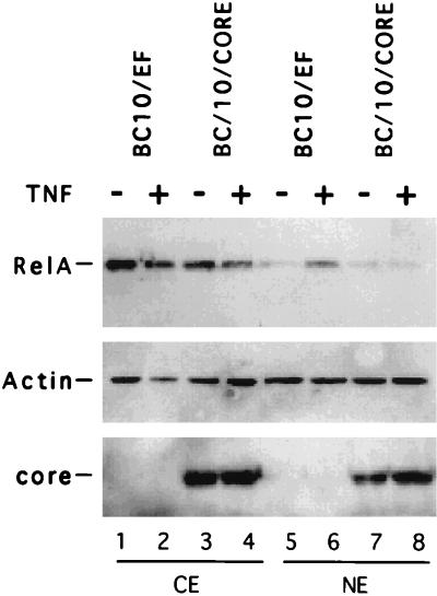 FIG. 6