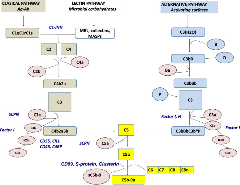 Figure 1