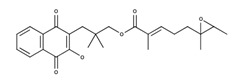 graphic file with name nutrients-12-03776-i009.jpg