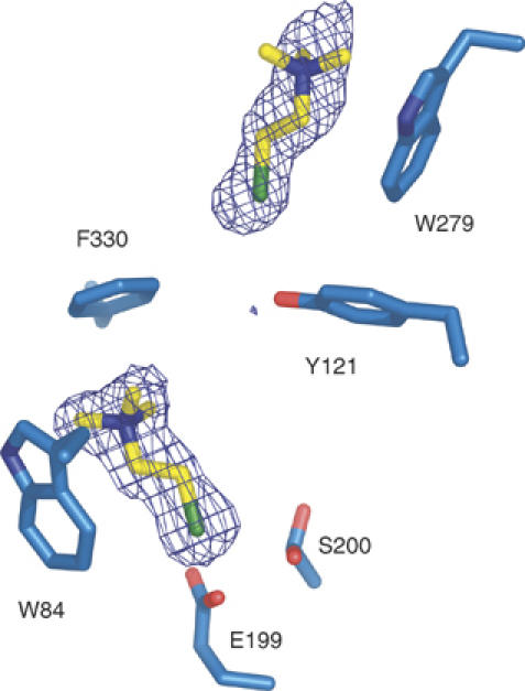 Figure 6