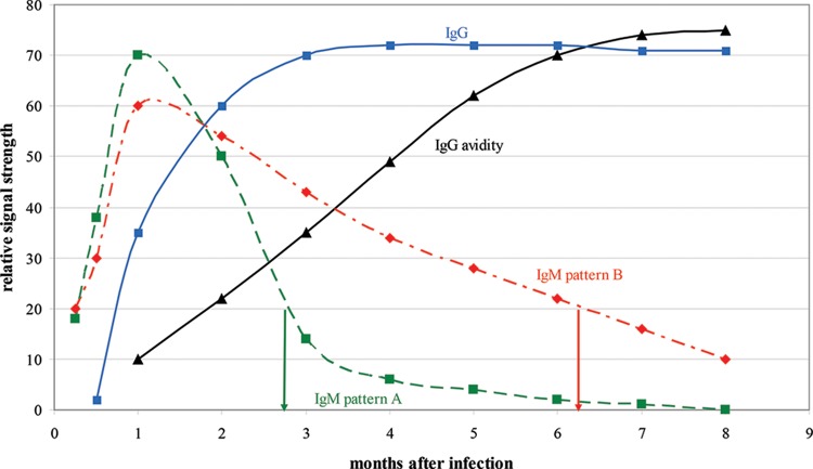 FIG 1