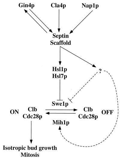 FIG. 10