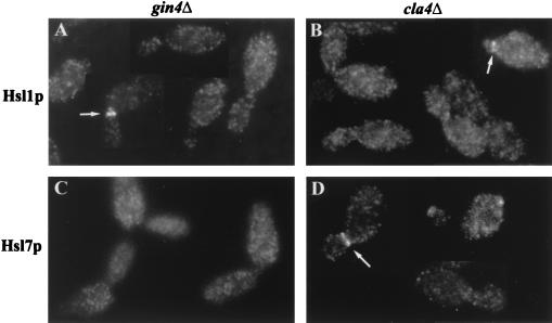 FIG. 8