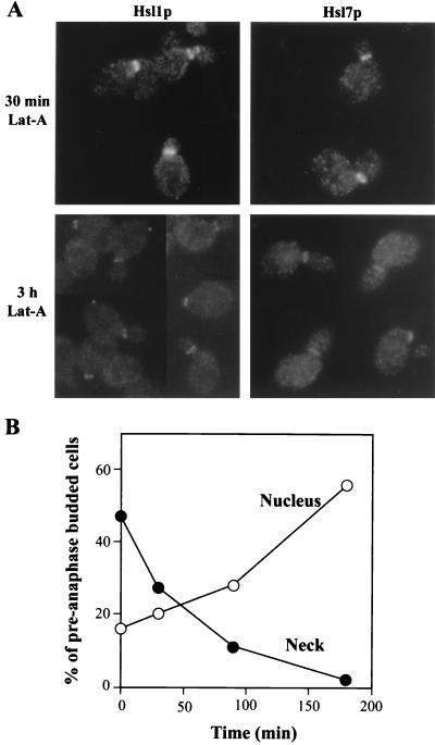 FIG. 9