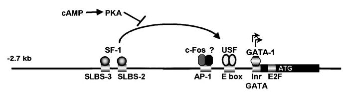 FIG. 3