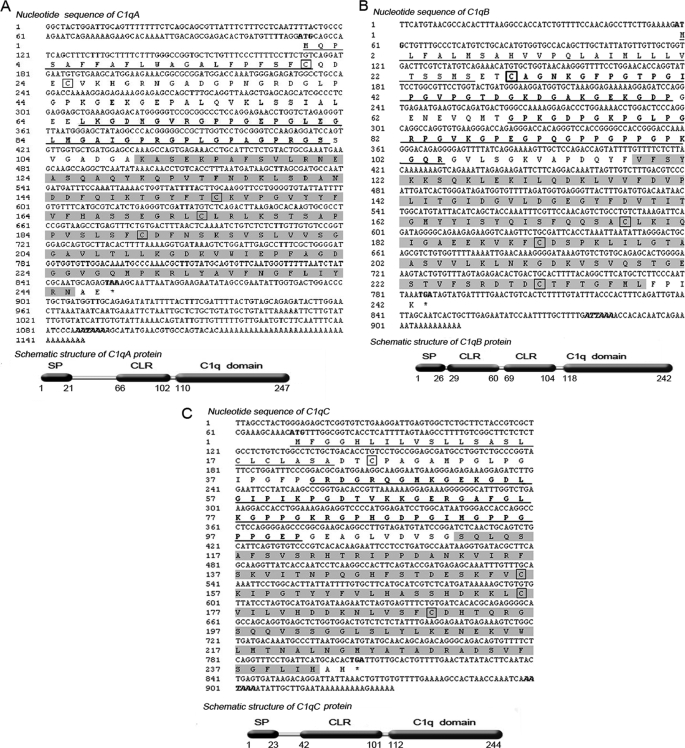 FIGURE 1.