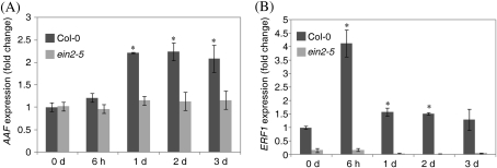 Fig. 9.