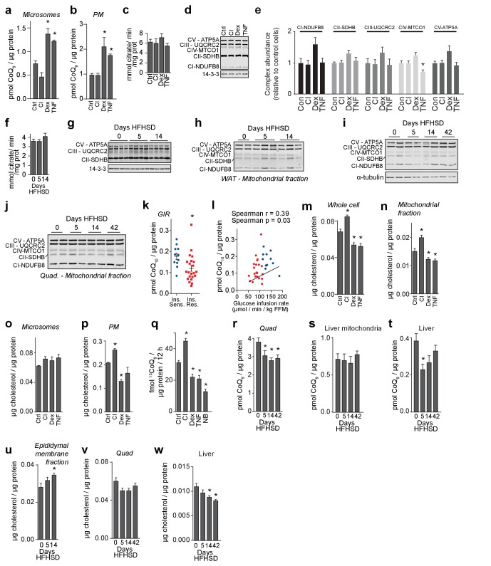 Figure 3—figure supplement 1.