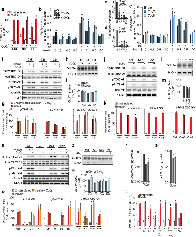 Figure 5—figure supplement 1.