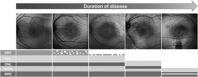 Fig. 6.