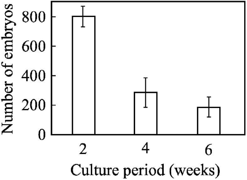 Figure 4. Somatic embryo formation through passage culture. Shoot apex explants treated with hyperosmotic stress for 6 weeks were cultured in Murashige and Skoog liquid medium with shaking. Somatic embryos were counted every 2 weeks during passage culture. Bar: standard error (n=5).