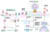 Fig. 2 |