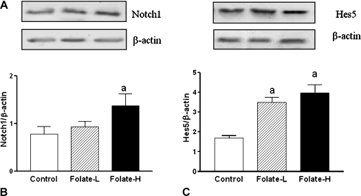 Fig. 4