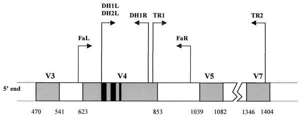 FIG. 1