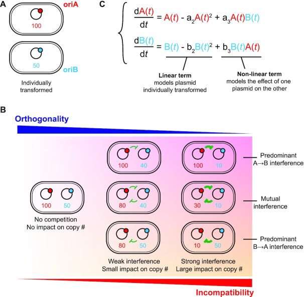 Figure 6.