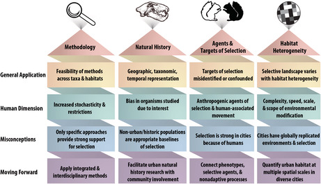 graphic file with name ECE3-12-e9552-g003.jpg