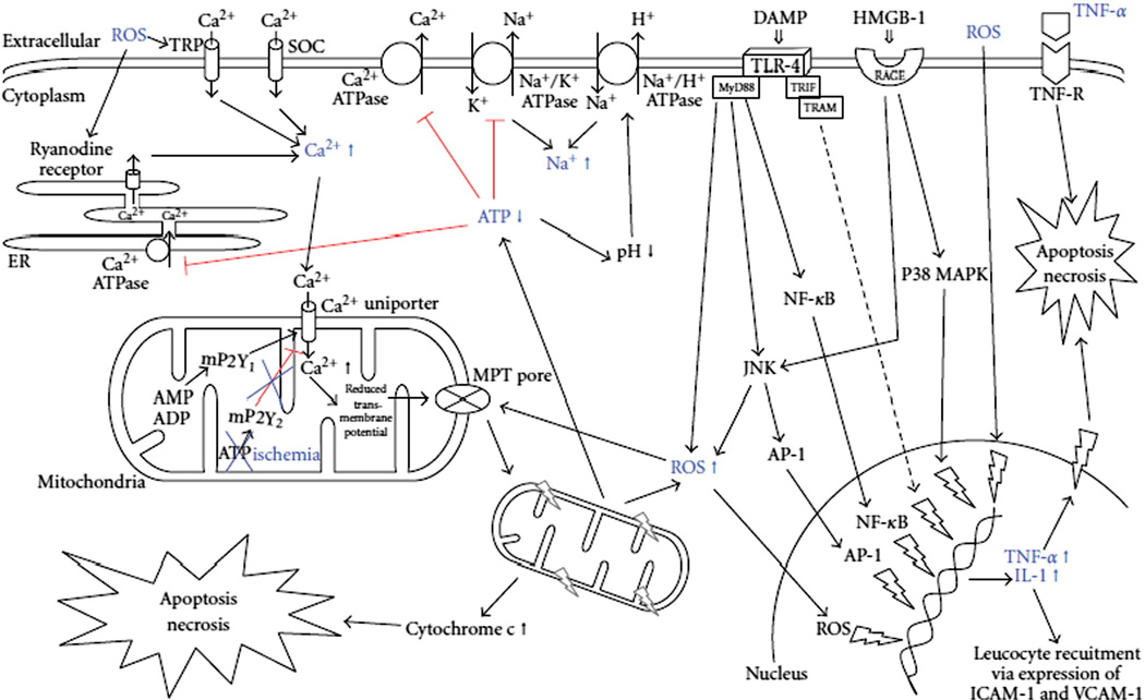 Fig. 1