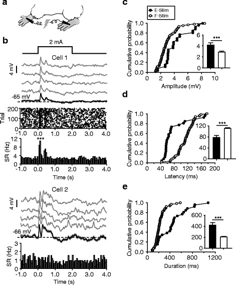 Fig. 9