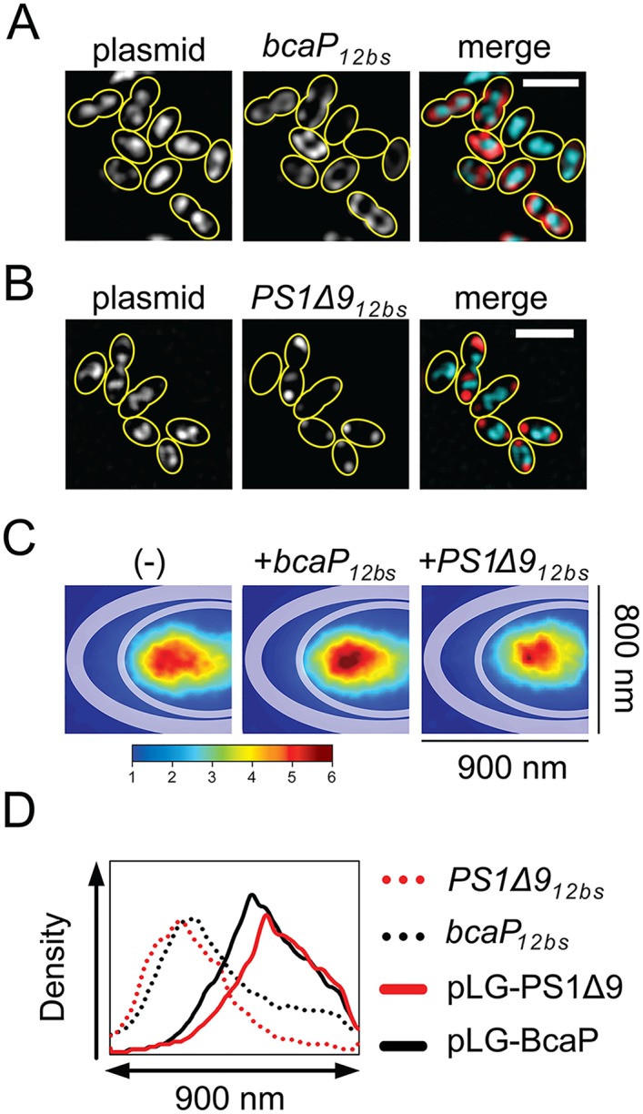 Fig 4