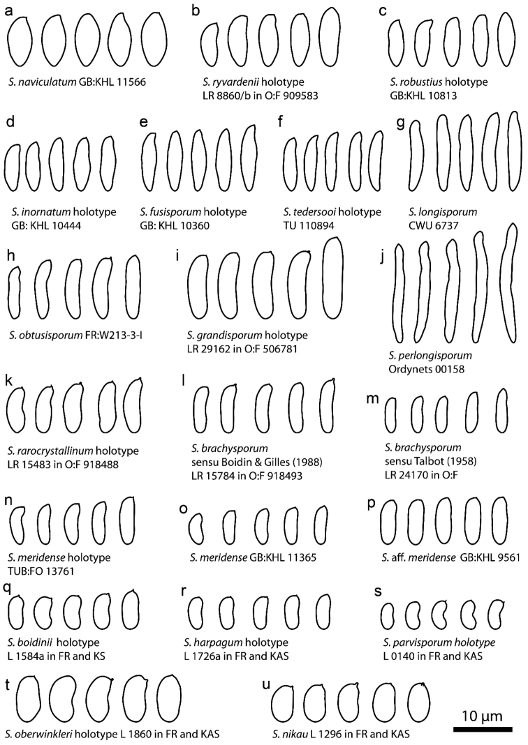 Figure 10.