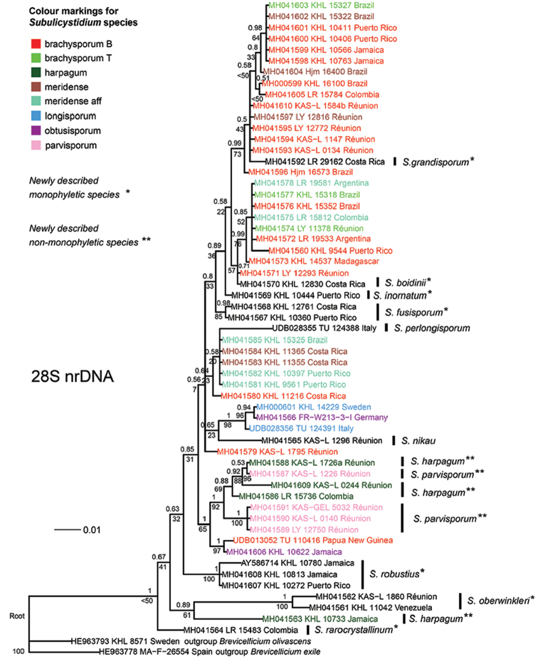 Figure 13.