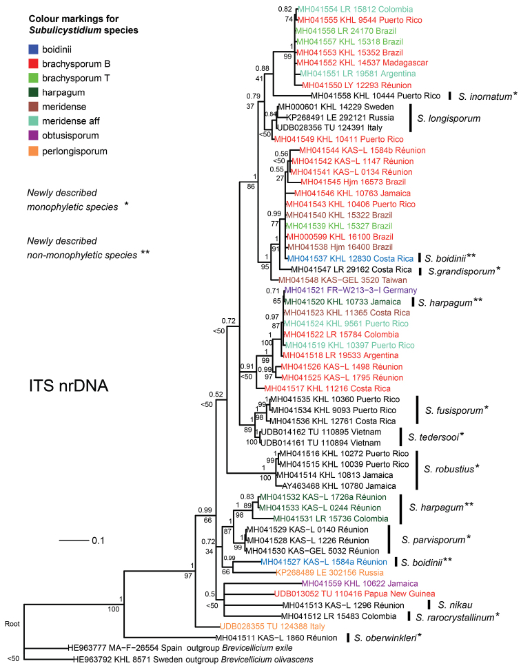 Figure 12.