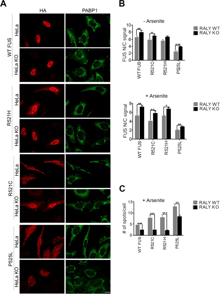 FIGURE 2: