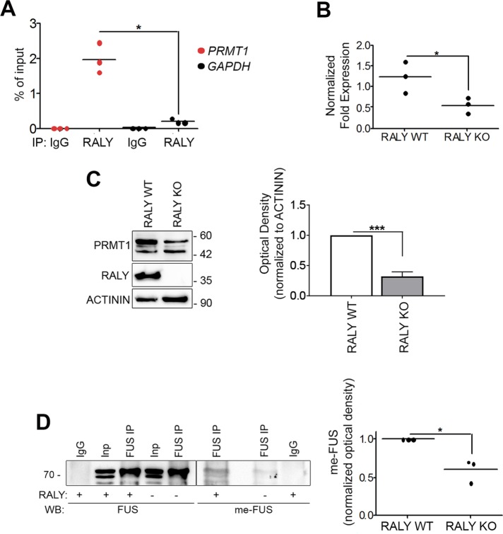 FIGURE 1: