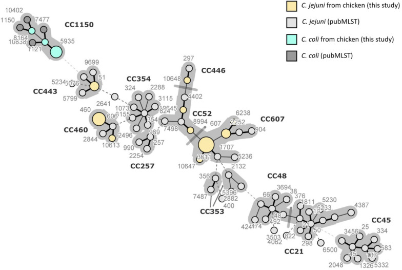 FIGURE 4