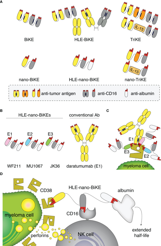 Figure 1