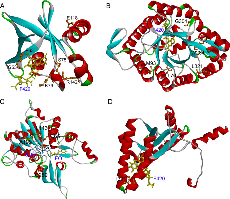 FIG 2